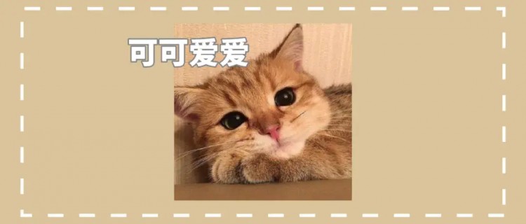 一组完美诠释猫咪日常的漫画快来对号入座吧