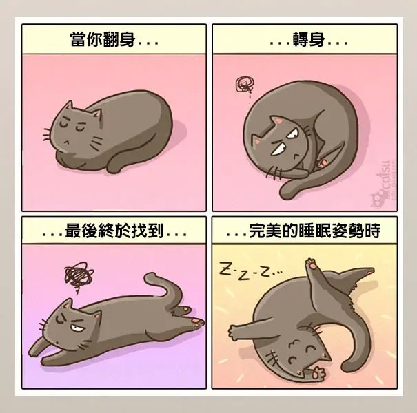 一组完美诠释猫咪日常的漫画快来对号入座吧