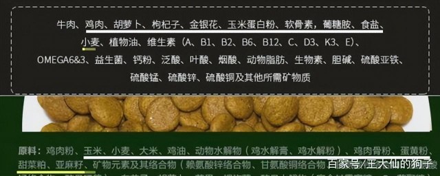 品牌大的狗粮就好别再只会看牌子了好狗粮得看这几点